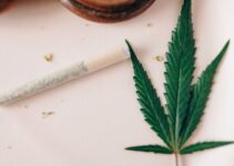 3 Best Insights On Mental Effects Of Thc-8